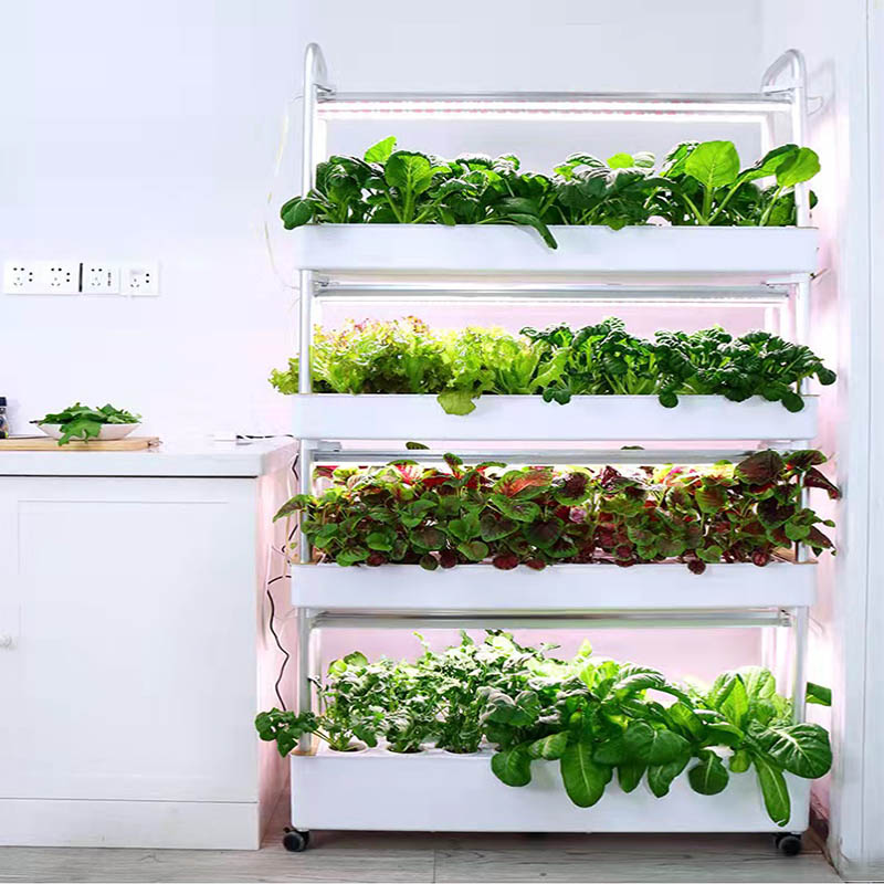 ydroponic Planting System Smar – обзор и цена Home Automation Systems Diy